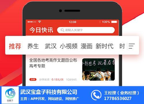 武汉宝盒子科技(图)-app开发-黄石网络推广