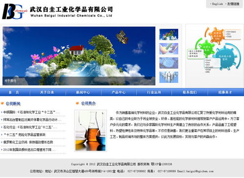武汉网站制作项目 武汉白圭工业化学品网站建成开通